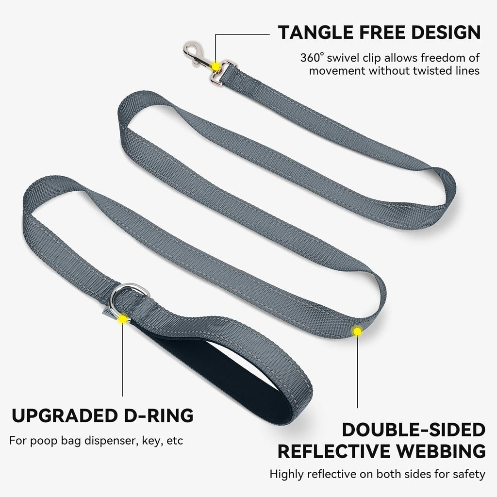 Reflective Dog Leash for Small Dogs, 5 FT X 3/4", Gray | Heavy Duty Nylon Webbing, Padded Handle for Comfort, Visible at Night, for Walking & Training