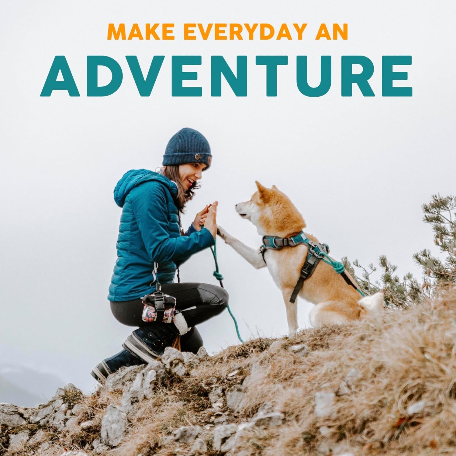 Embark Dog Collar - Adjustable Heavy Duty Outdoor Pet Training Collar | Built with Durable Waterproof Nylon, a Heavy Duty D-Shape Leash Attachment Hook, and an Adjustable Strap - BOHO