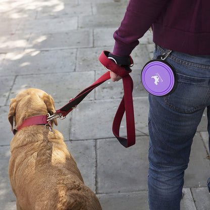Collapsible Dog Bowls for Travel, 2-Pack Dog Portable Water Bowl for Dogs Cats Pet Foldable Feeding Watering Dish for Traveling Camping with Carabiners, BPA Free (Purple&Pink, Small (Pack of 2))