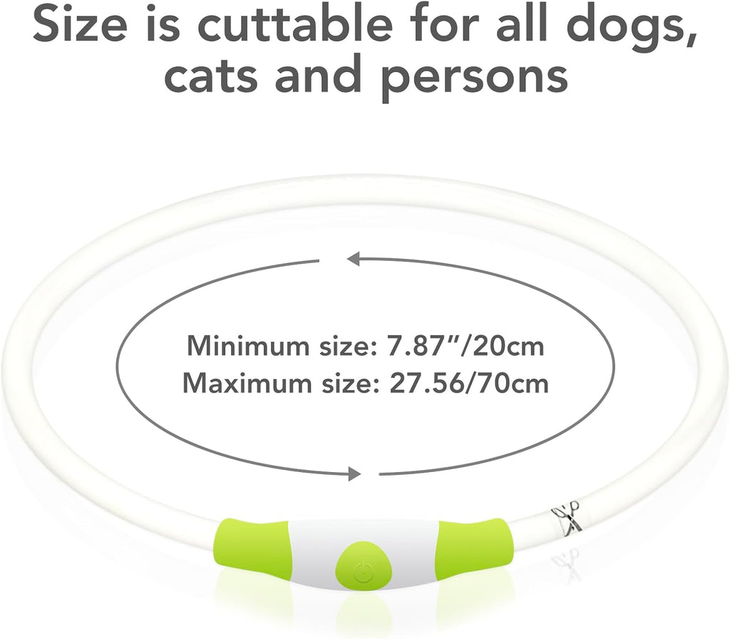 Light up Dog Collar, USB Rechargeable LED Glow Necklace, Cyan | Waterproof IP67, Cut-To-Fit TPU, 360° Night Safety, Pet Visibility Light, Camping & Walking, Fits Small-Large Dogs