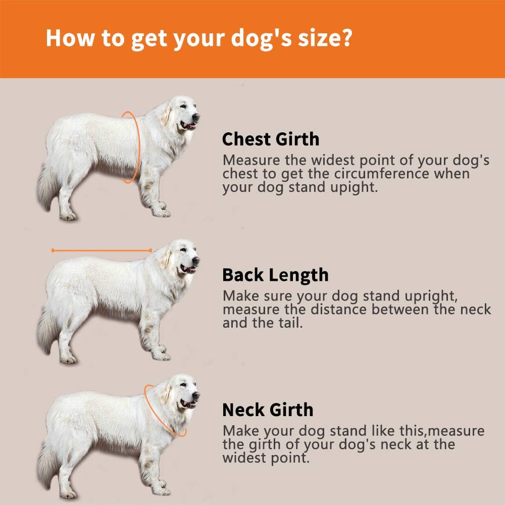 Dog Life Jacket- Preserver with Adjustable Belt, Pet Swimming Shark Jacket for Short Nose Dog Upgrade Version (Pug,Bulldog,Poodle,Bull Terrier,Samoyed,Alaskan Malamute) (XS, Orange)