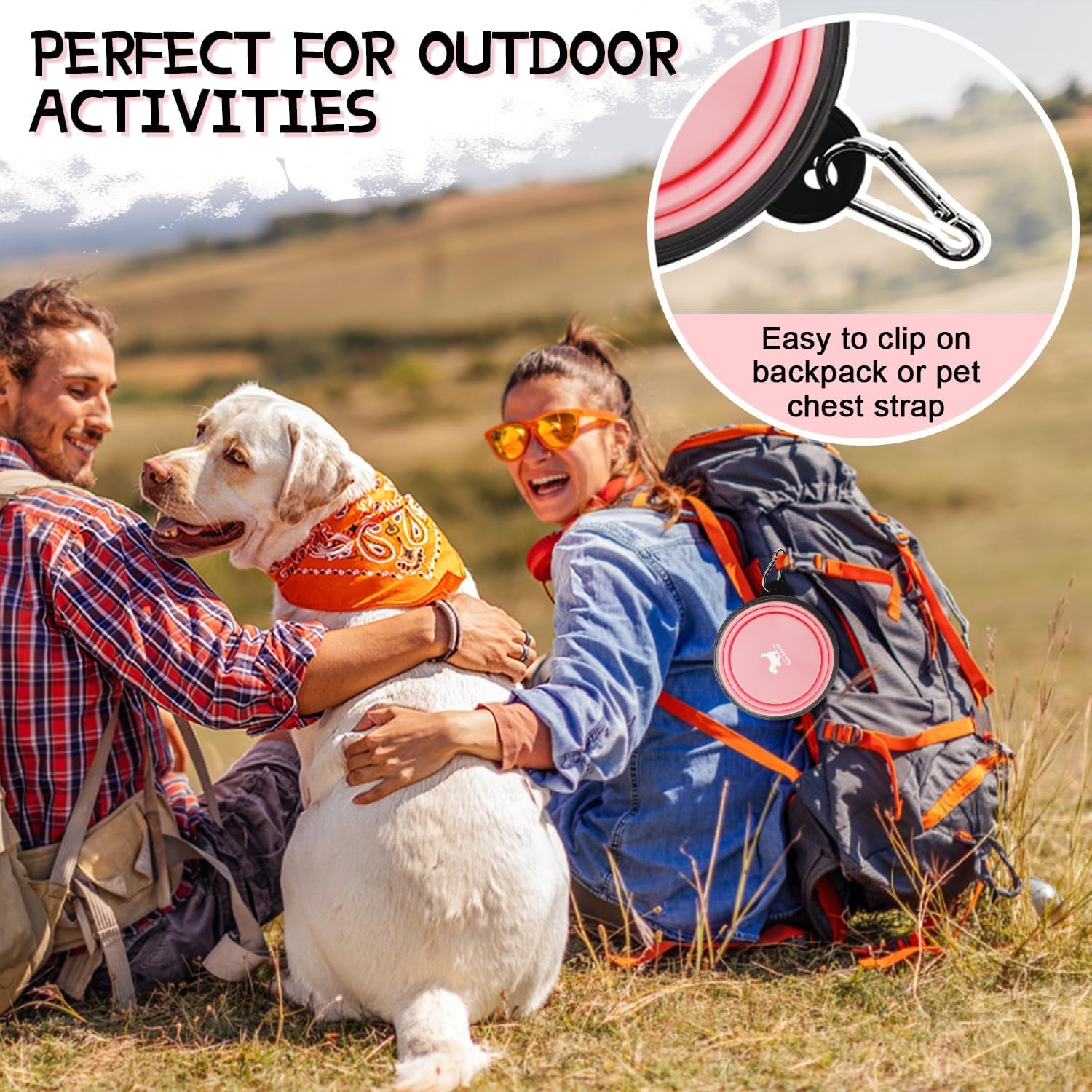 Collapsible Dog Bowls for Travel, 2-Pack Dog Portable Water Bowl for Dogs Cats Pet Foldable Feeding Watering Dish for Traveling Camping with Carabiners, BPA Free (Purple&Pink, Small (Pack of 2))
