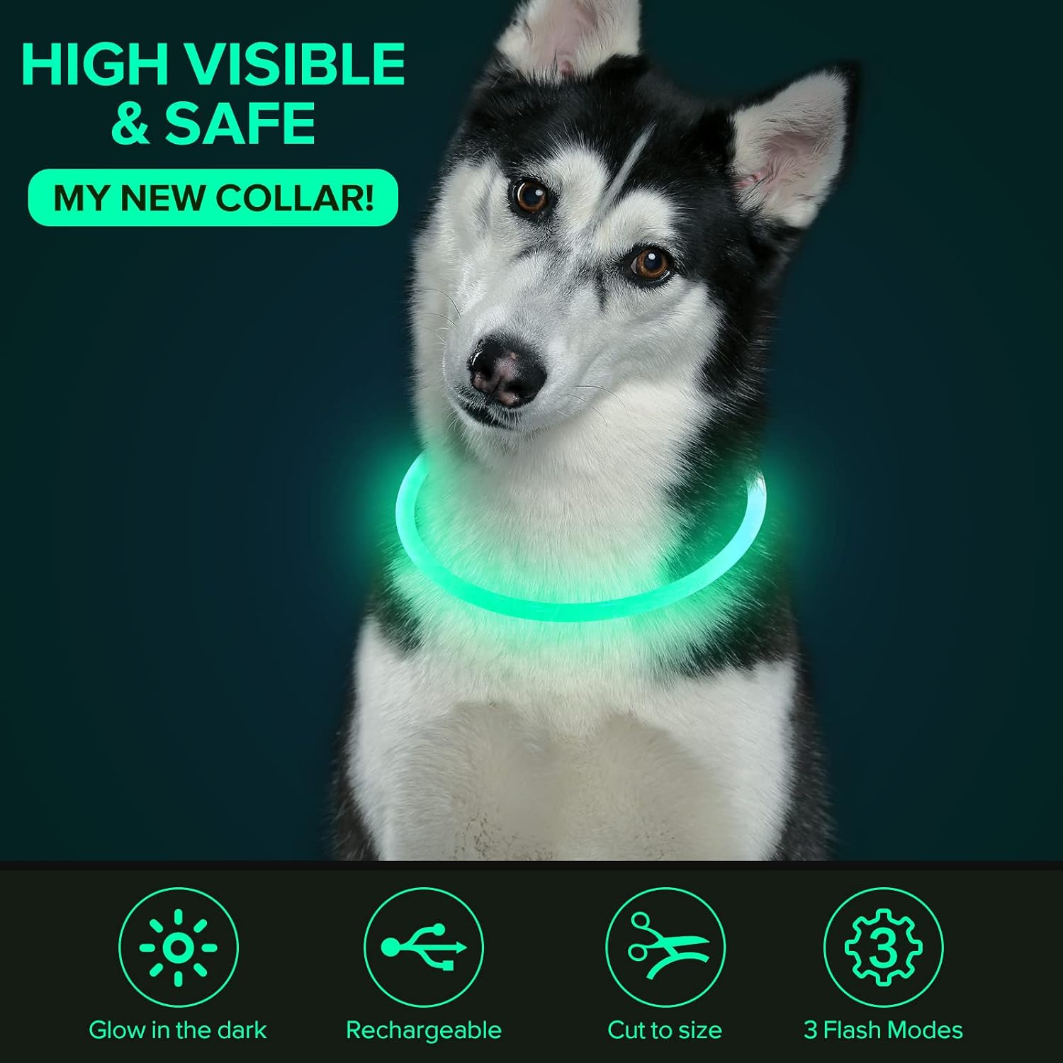 Light up Dog Collar, USB Rechargeable LED Glow Necklace, Cyan | Waterproof IP67, Cut-To-Fit TPU, 360° Night Safety, Pet Visibility Light, Camping & Walking, Fits Small-Large Dogs