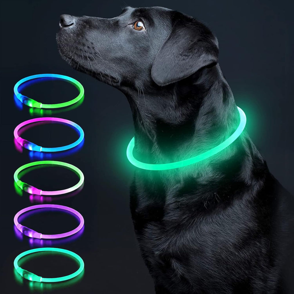 Light up Dog Collar, USB Rechargeable LED Glow Necklace, Cyan | Waterproof IP67, Cut-To-Fit TPU, 360° Night Safety, Pet Visibility Light, Camping & Walking, Fits Small-Large Dogs