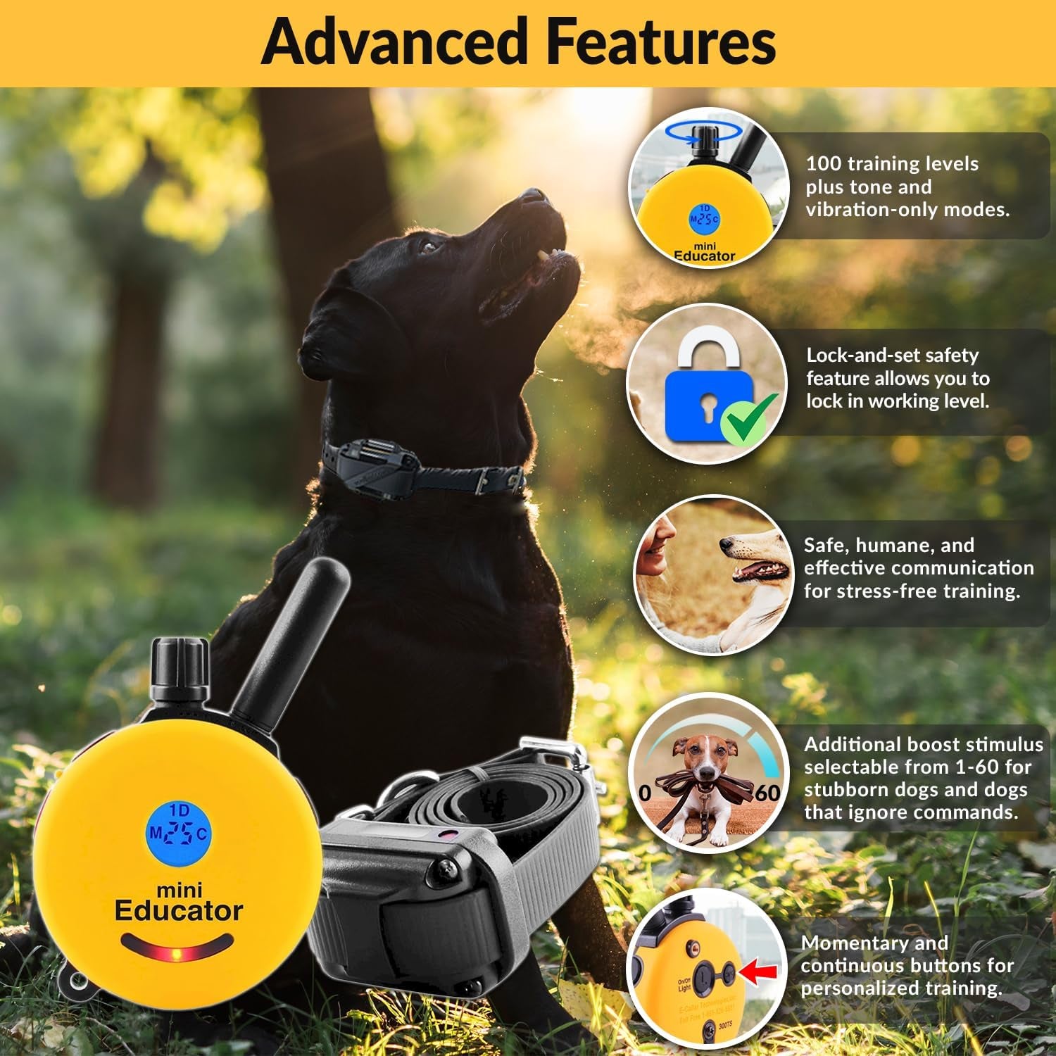E-Collar ET-300 Mini  Dog Training Collar, Yellow, 1/2 Mile | 1/2 Mile Range | Dogs 10 Lbs+ | Waterproof | Rechargeable | 100 Levels | Tone, Vibration & LED Light