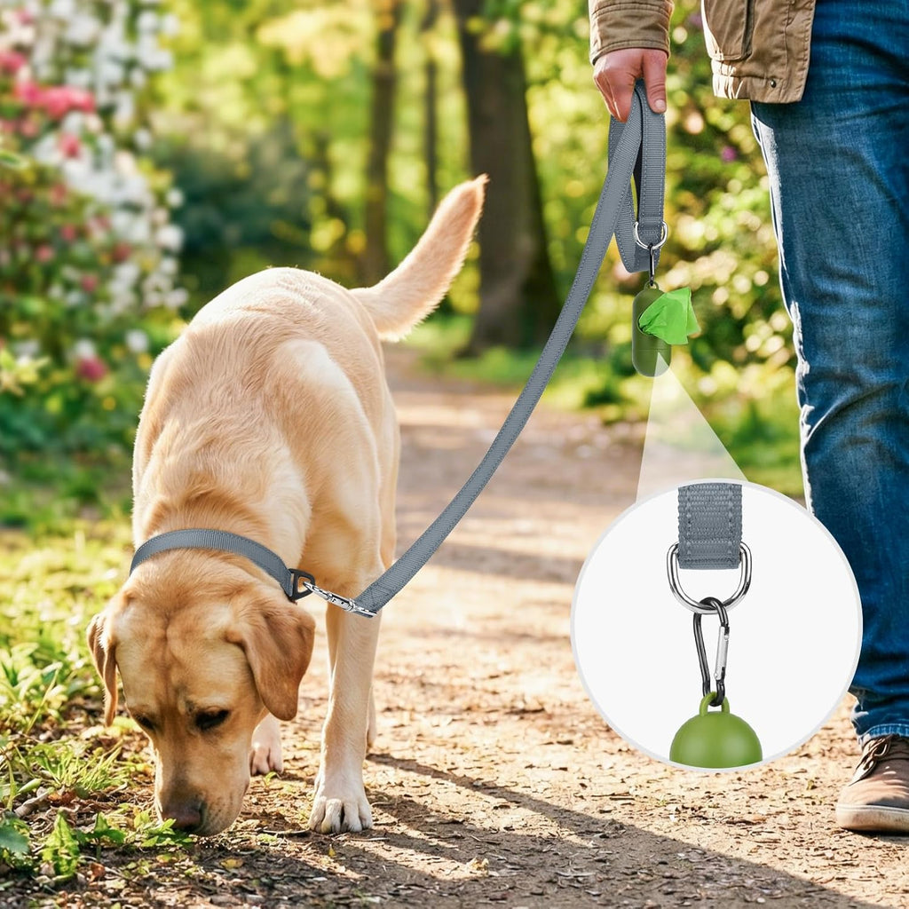 Reflective Dog Leash for Small Dogs, 5 FT X 3/4", Gray | Heavy Duty Nylon Webbing, Padded Handle for Comfort, Visible at Night, for Walking & Training