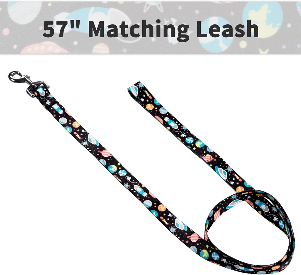 Dog Collar and Leash Set for Small Dogs & Cats, up to 20 Lbs | Soft Splicing Design, Adjustable Durable Pet Collar Leash for Everyday Walks, Training, and Outdoor Activities
