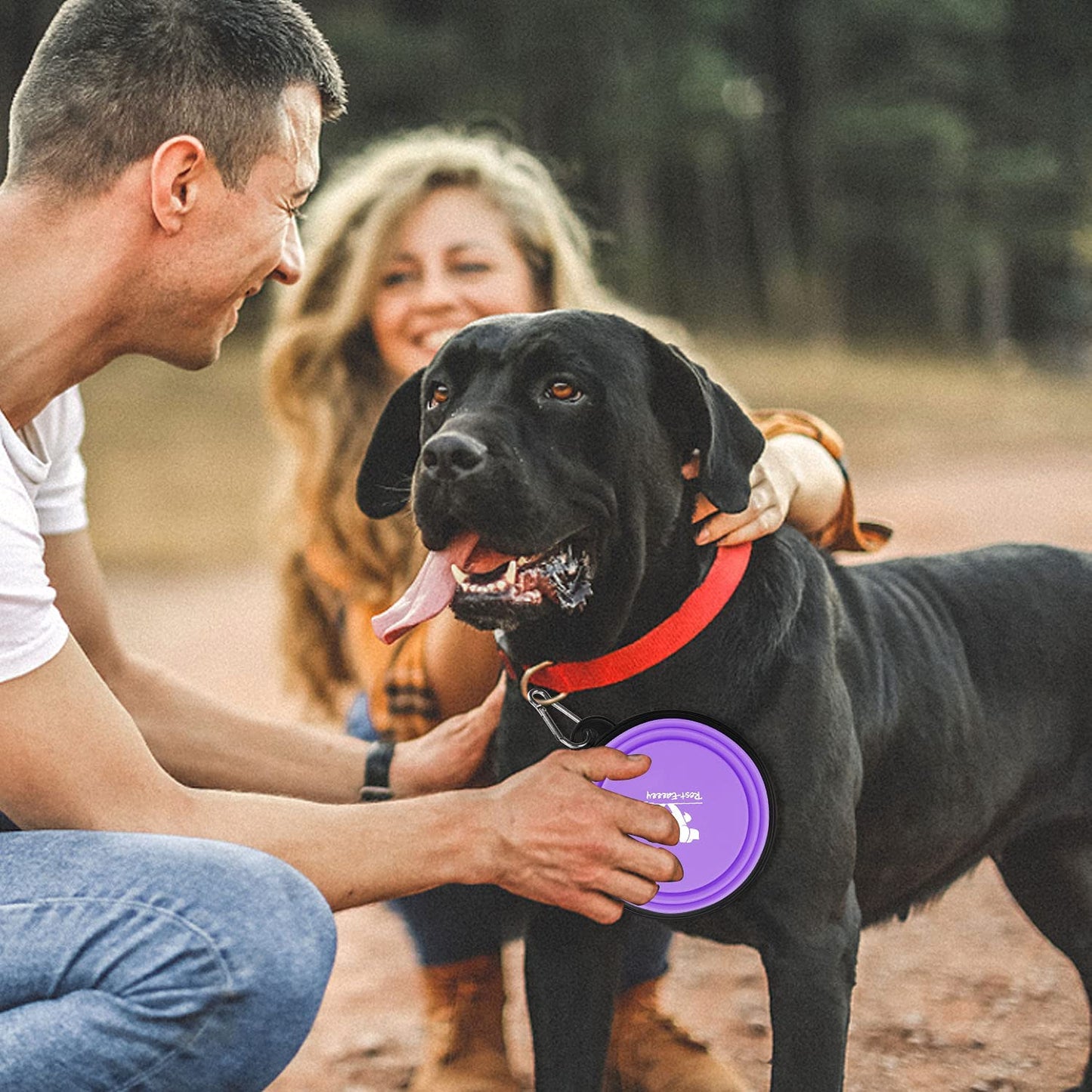 Collapsible Dog Bowls for Travel, 2-Pack Dog Portable Water Bowl for Dogs Cats Pet Foldable Feeding Watering Dish for Traveling Camping with Carabiners, BPA Free (Purple&Pink, Small (Pack of 2))