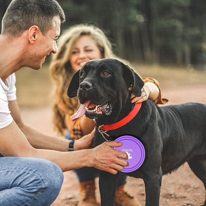 Collapsible Dog Bowls for Travel, 2-Pack Dog Portable Water Bowl for Dogs Cats Pet Foldable Feeding Watering Dish for Traveling Camping with Carabiners, BPA Free (Purple&Pink, Small (Pack of 2))