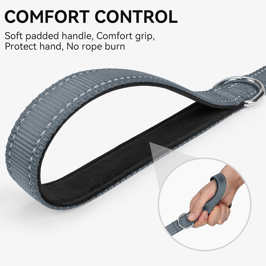 Reflective Dog Leash for Small Dogs, 5 FT X 3/4", Gray | Heavy Duty Nylon Webbing, Padded Handle for Comfort, Visible at Night, for Walking & Training