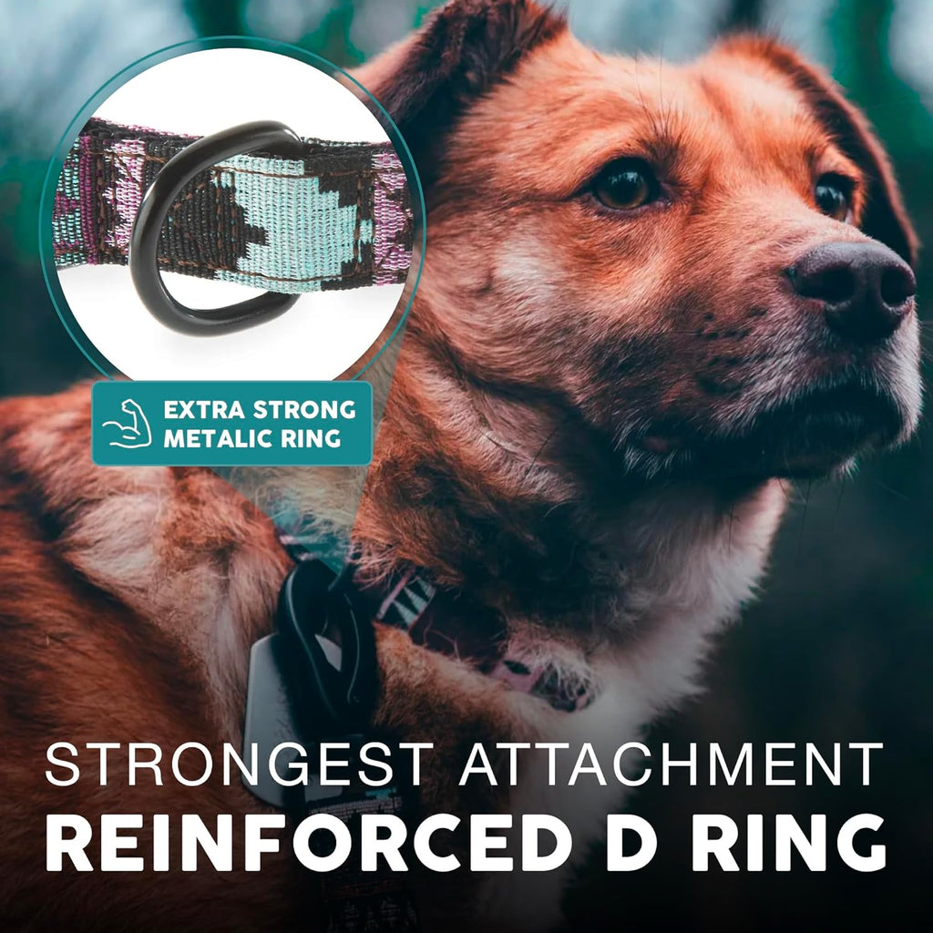 Embark Dog Collar - Adjustable Heavy Duty Outdoor Pet Training Collar | Built with Durable Waterproof Nylon, a Heavy Duty D-Shape Leash Attachment Hook, and an Adjustable Strap - BOHO