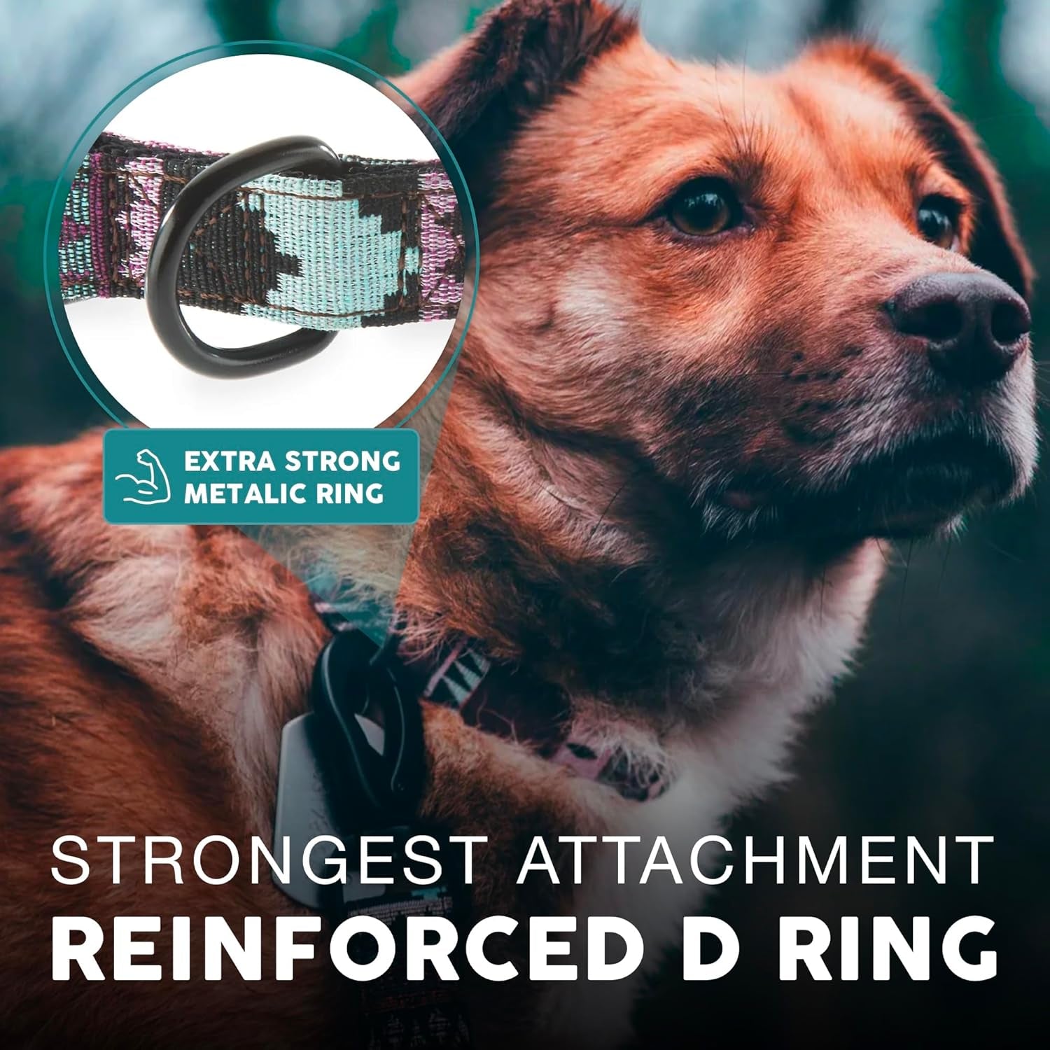 Embark Dog Collar - Adjustable Heavy Duty Outdoor Pet Training Collar | Built with Durable Waterproof Nylon, a Heavy Duty D-Shape Leash Attachment Hook, and an Adjustable Strap - BOHO