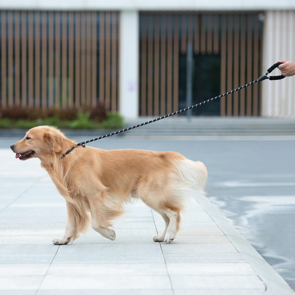 Durable Slip Lead Dog Leash, 1/2" X 4 FT, Black | Padded Handle, Reflective Threads, No Pull, Dog Training Leash