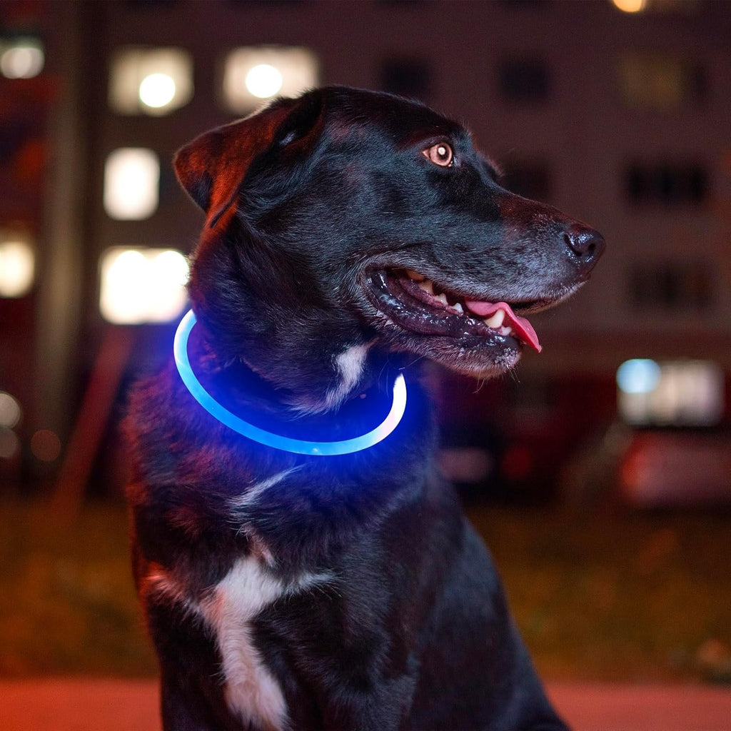 Light up Dog Collar,  USB Rechargeable Led Flash Dog Necklace | Pet Safety Collar Makes Your Beloved Dogs Be Seen at Night for Small Medium Large Dogs( Blue)