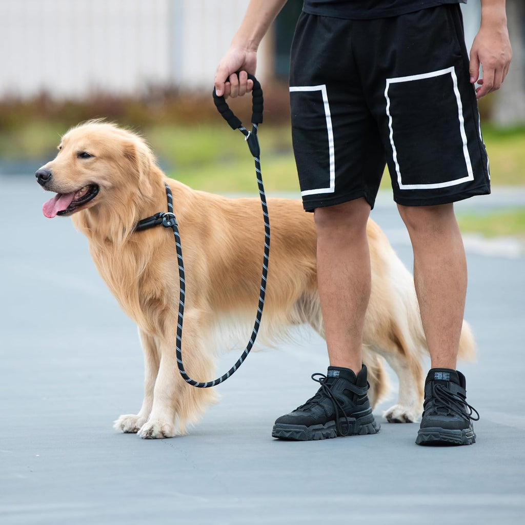 Durable Slip Lead Dog Leash, 1/2" X 4 FT, Black | Padded Handle, Reflective Threads, No Pull, Dog Training Leash