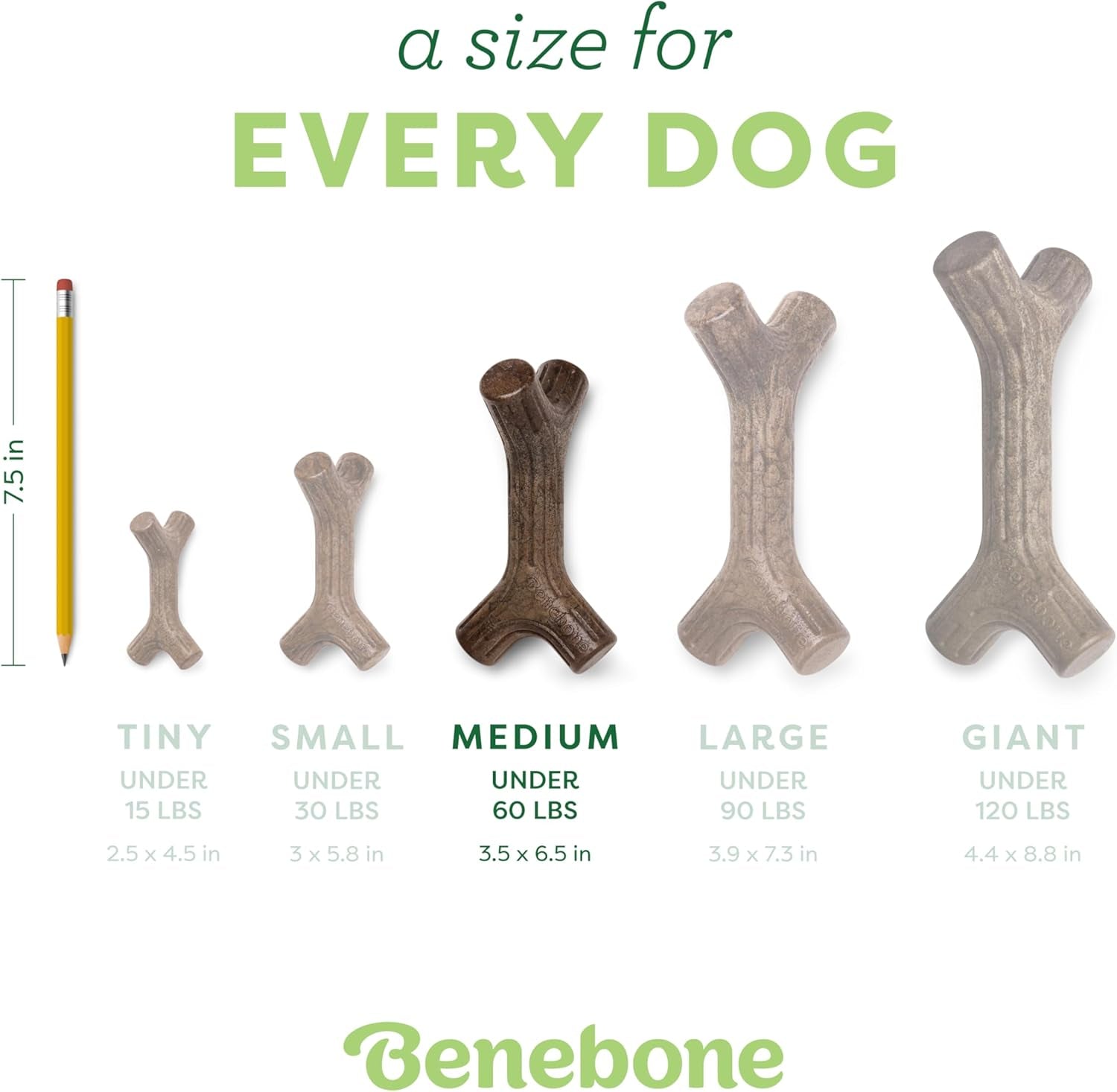 Maplestick Real Wood Durable Dog Chew Toy, Made in USA, Medium | Durable, Made in USA, Dog Bones, Long-Lasting, a Size for Every Dog, Keeps Them Busy
