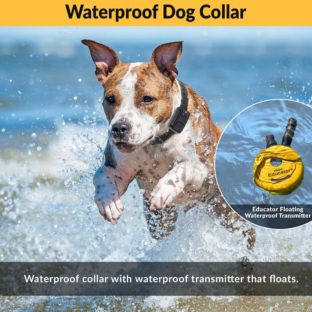 E-Collar ET-300 Mini  Dog Training Collar, Yellow, 1/2 Mile | 1/2 Mile Range | Dogs 10 Lbs+ | Waterproof | Rechargeable | 100 Levels | Tone, Vibration & LED Light