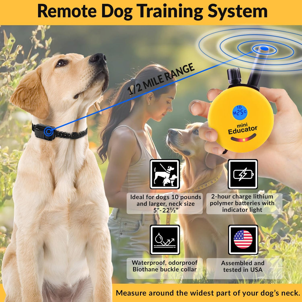 E-Collar ET-300 Mini  Dog Training Collar, Yellow, 1/2 Mile | 1/2 Mile Range | Dogs 10 Lbs+ | Waterproof | Rechargeable | 100 Levels | Tone, Vibration & LED Light
