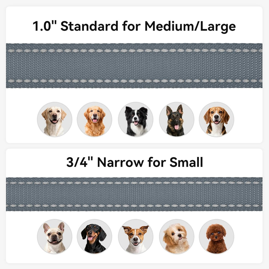 Reflective Dog Leash for Small Dogs, 5 FT X 3/4", Gray | Heavy Duty Nylon Webbing, Padded Handle for Comfort, Visible at Night, for Walking & Training