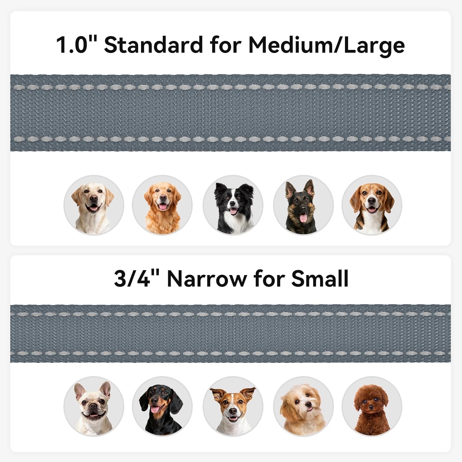 Reflective Dog Leash for Small Dogs, 5 FT X 3/4", Gray | Heavy Duty Nylon Webbing, Padded Handle for Comfort, Visible at Night, for Walking & Training