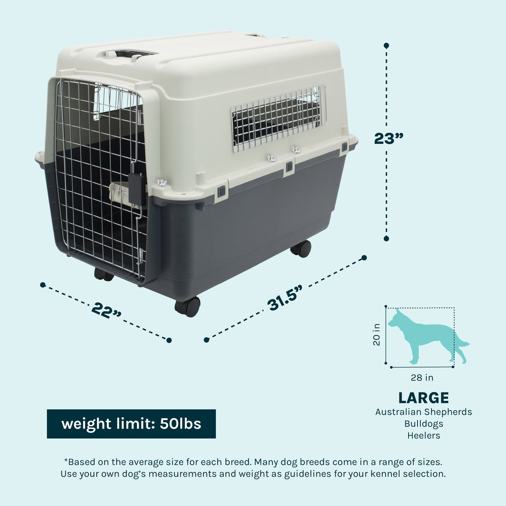 Airline Approved Plastic Dog Kennel with Wheels, Large